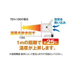 代引き不可 NAKATOMI ナカトミ 電気ファンヒーター 10000W TEH-100