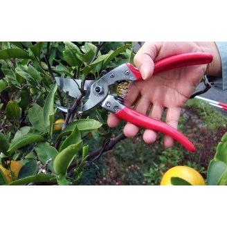 ARS アルス 剪定鋏ブイエスナイン 227mm VS-9Z : ハンズコテラ Yahoo