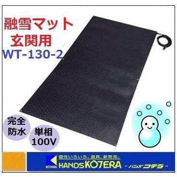 グリーンクロス 電気式融雪ゴムマット ソーヒーター TD-100 200V