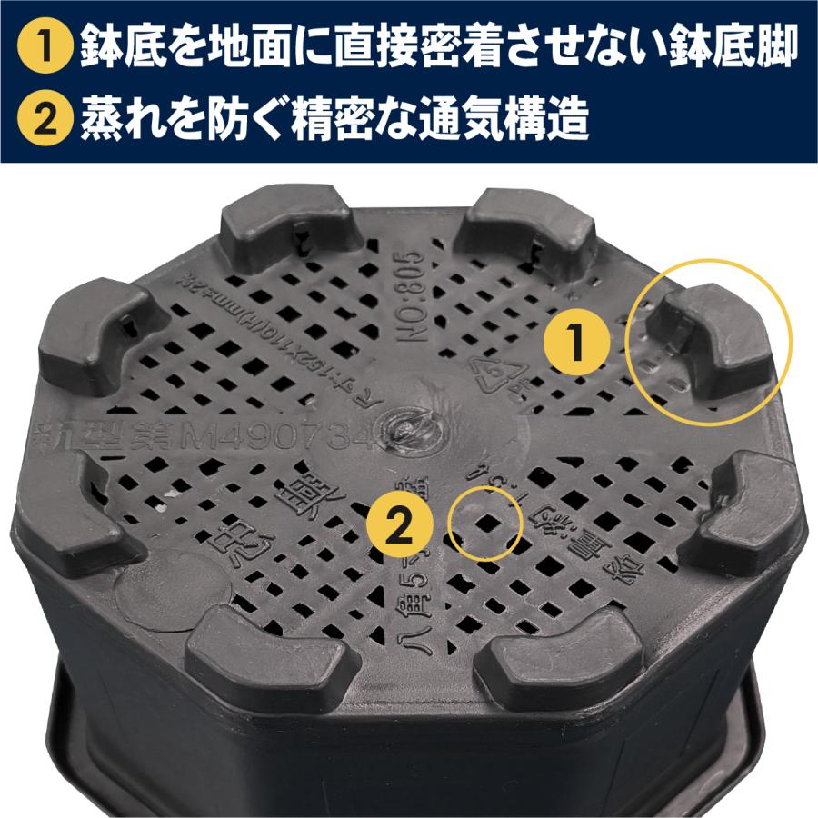 植木鉢 台湾八角鉢 鉢 八角形 : ハンズマン - 通販 - Yahoo!ショッピング
