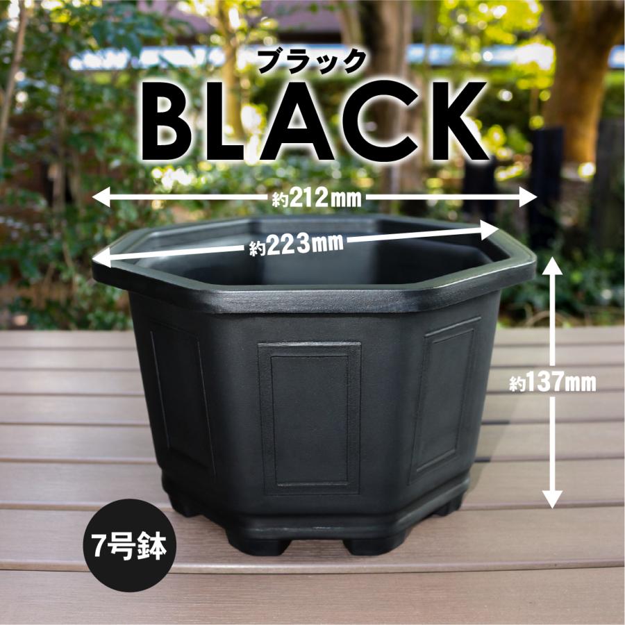 植木鉢 台湾八角鉢 鉢 八角形 : ハンズマン - 通販 - Yahoo!ショッピング