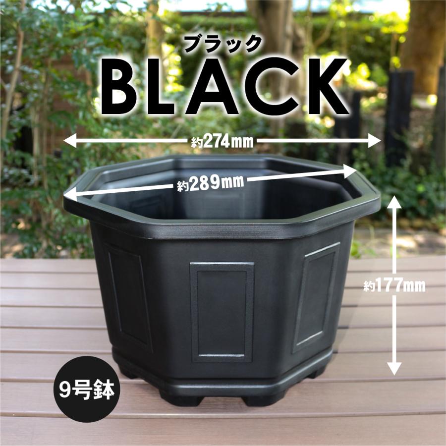 植木鉢 台湾八角鉢 鉢 八角形 : ハンズマン - 通販 - Yahoo!ショッピング