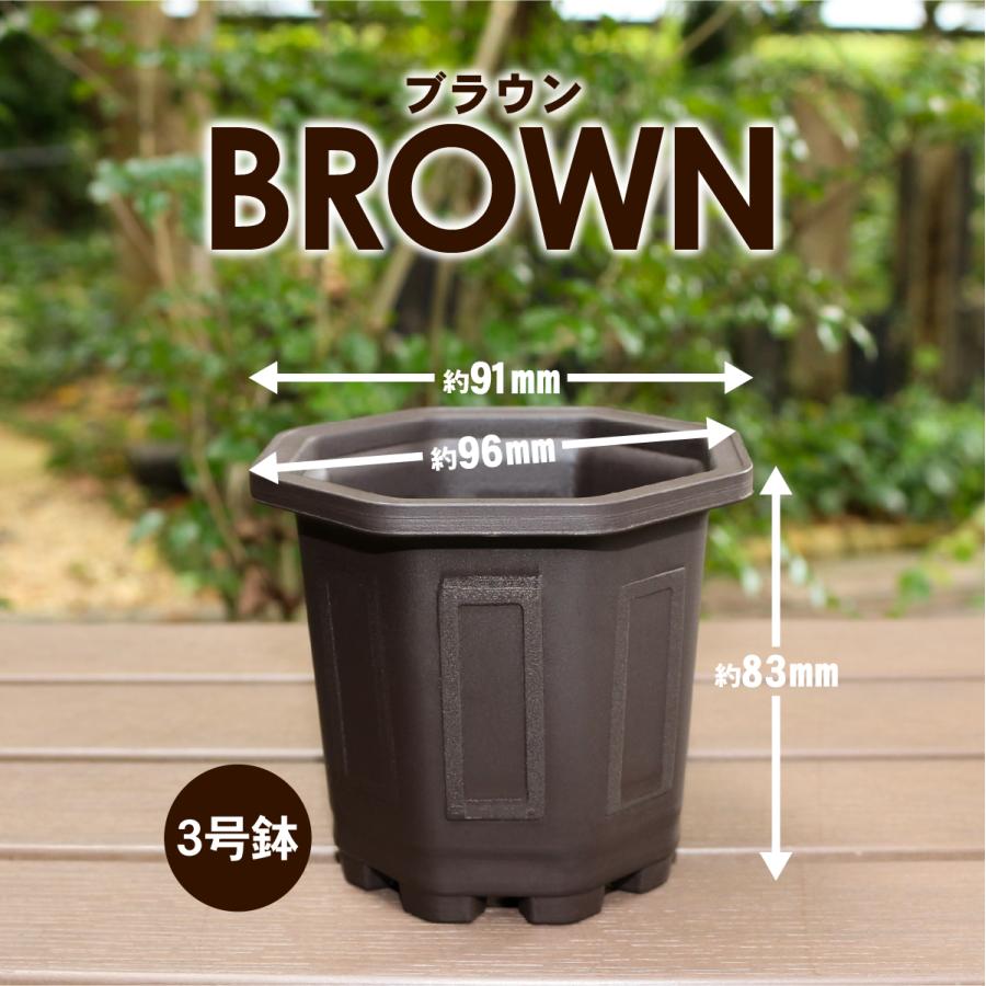 植木鉢 台湾八角鉢 鉢 八角形 : ハンズマン - 通販 - Yahoo!ショッピング