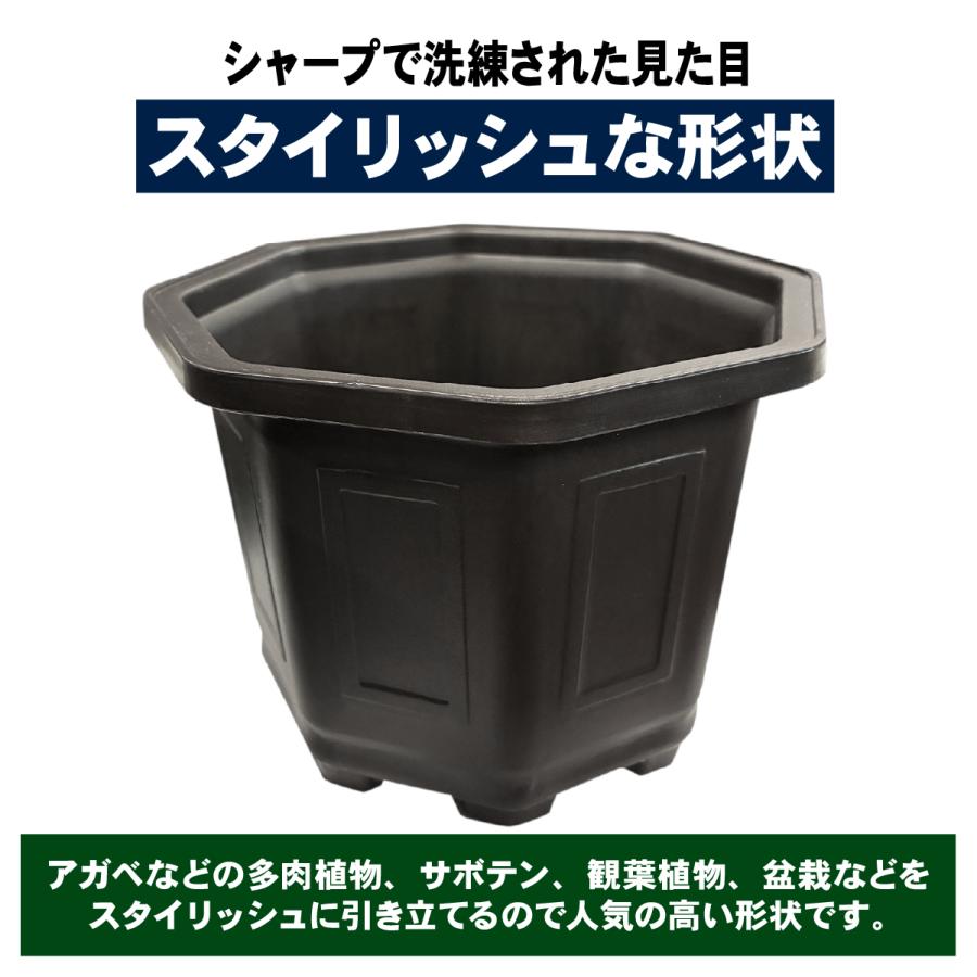 植木鉢 台湾八角鉢 鉢 八角形 : ハンズマン - 通販 - Yahoo!ショッピング