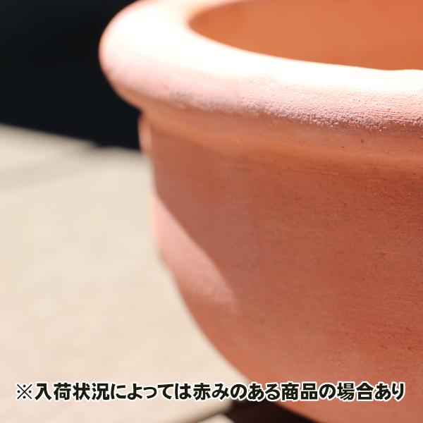 植木鉢 テラコッタ鉢 素焼き鉢 フローレンス ローボール 30 (約)直径