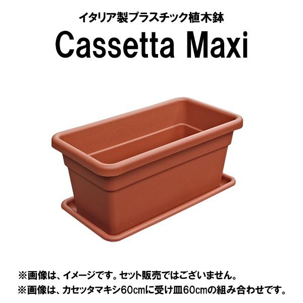 イタリア直輸入 プラスチック植木鉢 長方形 カセッタマキシ