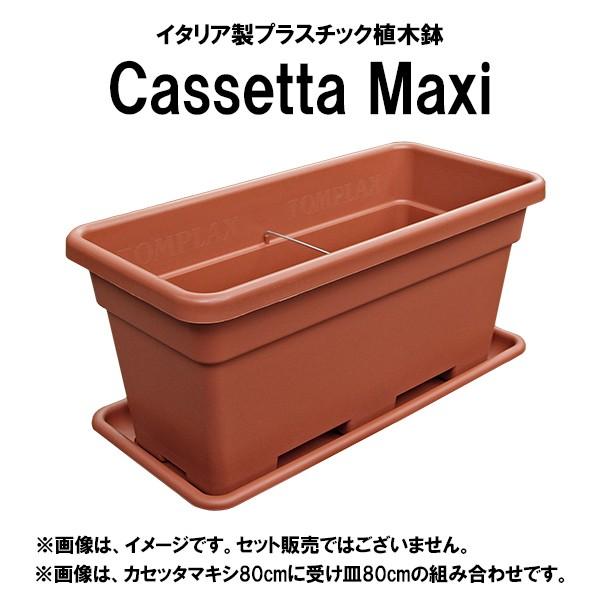 イタリア直輸入 プラスチック植木鉢 長方形 カセッタマキシ Casseta