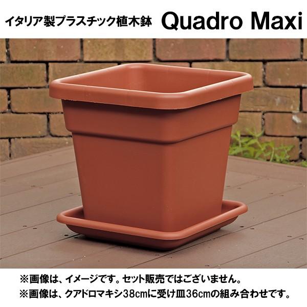 イタリア直輸入 プラスチック植木鉢 正方形 クアドロマキシ Quadro