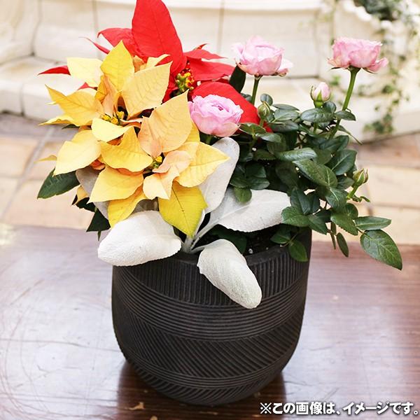 植木鉢 ファイバークレイ ストラMIX 丸型 43×43 ブラック : ハンズマン