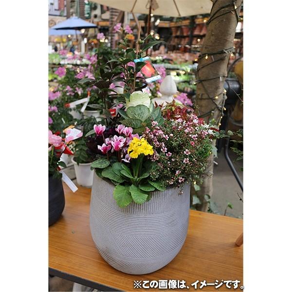 植木鉢 ファイバークレイ ストラMIX 丸型 57×57 送料別見積 大型