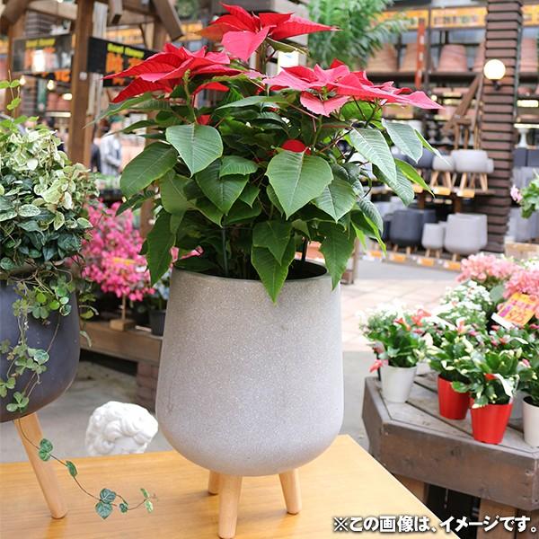 植木鉢 カバー ファイバークレイ 丸型 ハイタイプ脚付き 42×51
