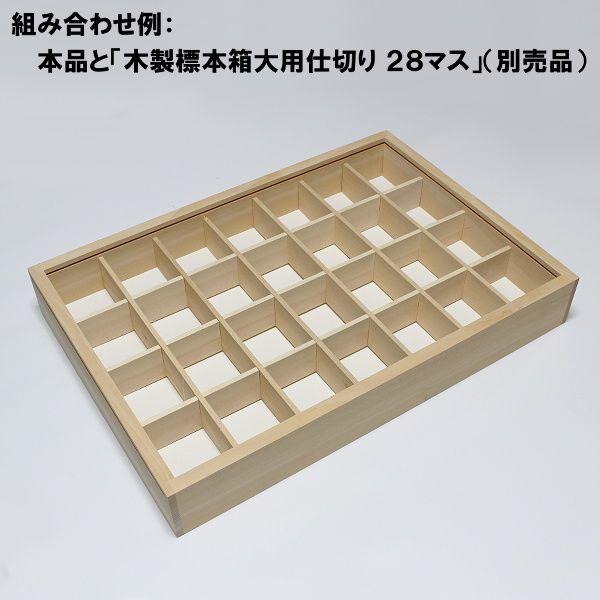 【新品】木製標本箱　30cm x 40cm x 6cm 新品】木製標本箱30cm x 40cm x 6cm4個セット