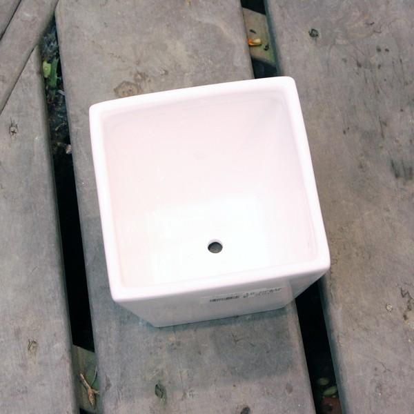 ホワイト陶器 ハンマード植木鉢 大 陶器鉢 植木鉢 ホワイトポットスクエア型 Mサイズ 直径13cm×高さ13cm