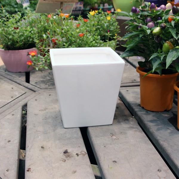 陶器鉢 植木鉢 ホワイトポットスクエア型 Lサイズ 直径18cm 高さ18cm 角 ハンズマン 通販 Yahoo ショッピング