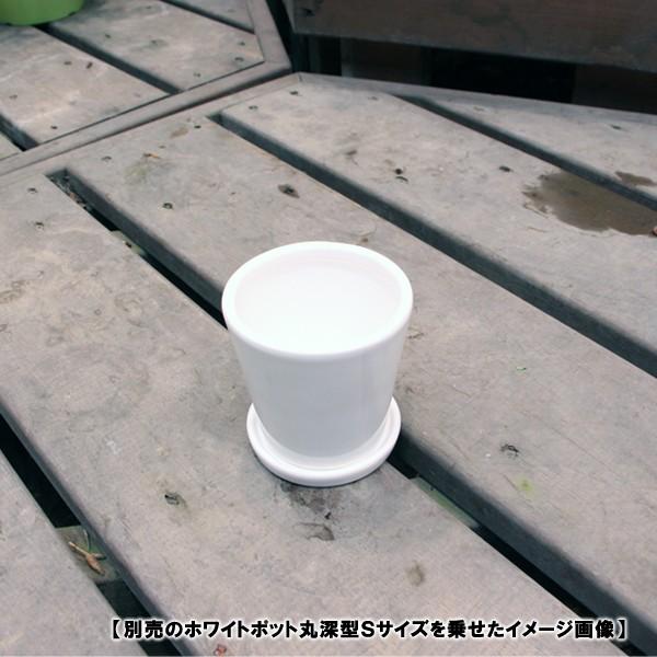 陶器鉢 植木鉢用 皿 ホワイトポット受け皿 丸型 直径8cm : ハンズマン