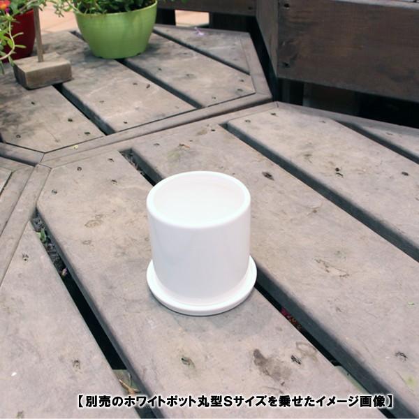 陶器鉢 植木鉢用 皿 ホワイトポット受け皿 丸型 直径11cm : ハンズマン