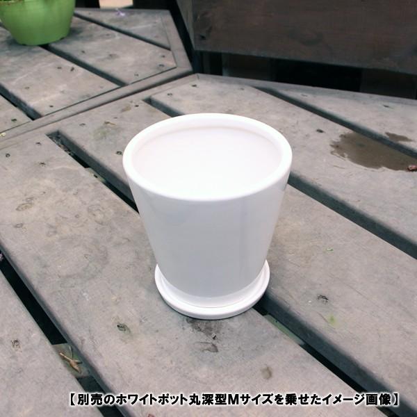 陶器鉢 植木鉢用 皿 ホワイトポット受け皿 丸型 直径11cm