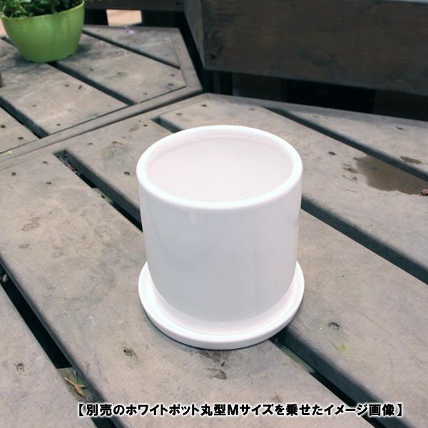 塗装用受け皿 丸型 陶器鉢 植木鉢用 皿 ホワイトポット受け皿 丸型 直径15cm : ハンズマン