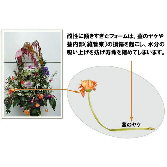 フローラルフォーム オアシス プレミアム Wet Premium 1001 送料別 通常配送 Diyホームセンター ハンズマン 通販 Yahoo ショッピング