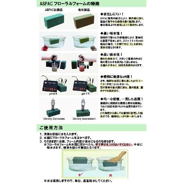 フローラルフォーム オアシス トレー Wet Mini Table Deco 6613 送料別 通常配送 ハンズマン 通販 Yahoo ショッピング