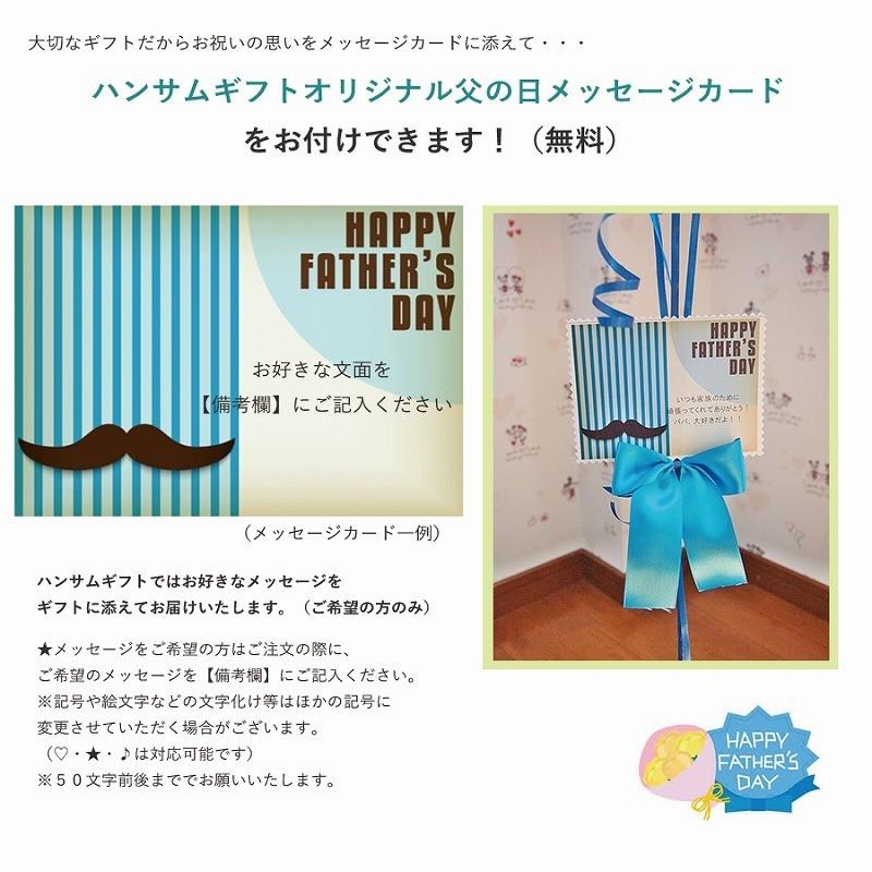 父の日ギフト バルーン電報 風船 祝電 父の日ヘリウムバルーン ドッツ バナー おしゃれ 浮くバルーン ヘリウムガス付き あすつく 送料無料 Hg19 F3 ハンサムギフト 通販 Yahoo ショッピング