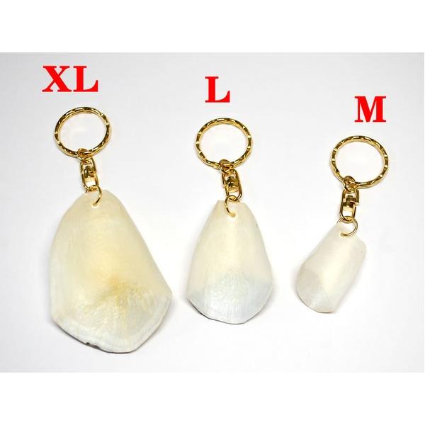 ピラルクのウロコ キーホルダー 〔XLサイズ 約6cm 1個〕ペルー アマゾン 直輸入 淡水魚 （CITES）取得後の正式輸入品 |  | 05