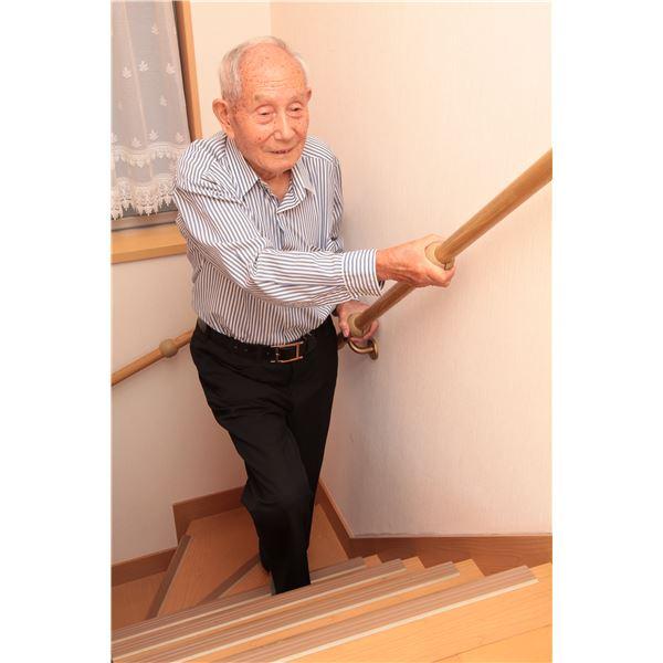〔10個セット〕階段手すり滑り止め 『どこでもグリップ』ボール形 軟質樹脂 直径32mm アイボリー シロクマ 日本製 |  | 02