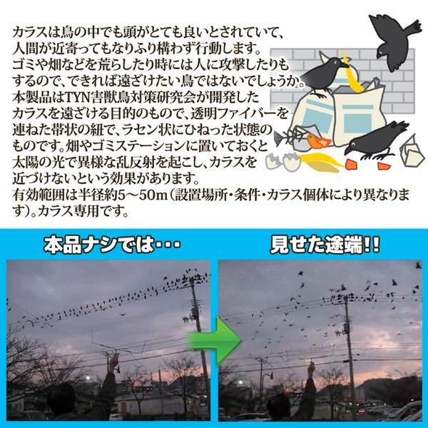 カラスよけ カラス対策用品 約長さ38×直径10cm カラスなぜ逃げる どこでも取付タイプ 日本製 畑 農作業 ゴミ置き場 ゴミ収集所 |  | 02