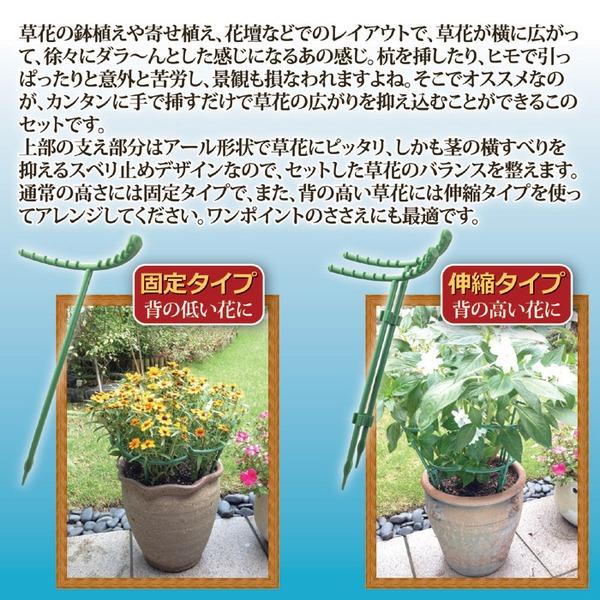 花ささえ 園芸用支柱 22本セット 固定タイプ・伸縮タイプ入り ポリプロピレン製 滑り止めデザイン 日本製 ガーデニング用品 |  | 02