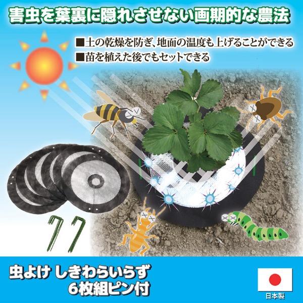 虫よけ しきわらいらず 直径約25cm 6枚組 ピン付き 家庭菜園 畑仕事 農作業 害虫対策用品 雑草対策 ガーデニング用品 園芸用品 |  | 01