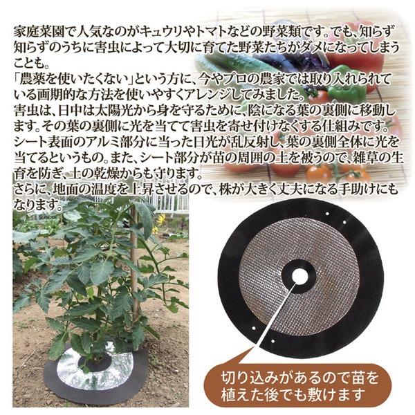 虫よけ しきわらいらず 直径約25cm 6枚組 ピン付き 家庭菜園 畑仕事 農作業 害虫対策用品 雑草対策 ガーデニング用品 園芸用品 |  | 02