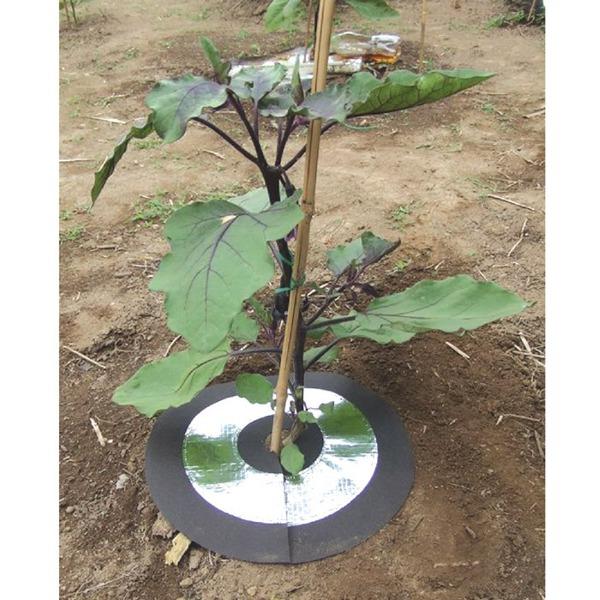 虫よけ しきわらいらず 直径約25cm 6枚組 ピン付き 家庭菜園 畑仕事 農作業 害虫対策用品 雑草対策 ガーデニング用品 園芸用品 |  | 04