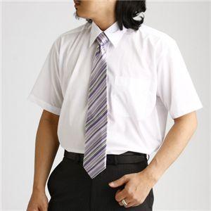 〔3枚セット〕 半袖 ワイシャツ M ポリエステル 綿 Yシャツ 半袖シャツ 仕事着 仕事 通勤 ビジネス 就職活動 就活 | 
