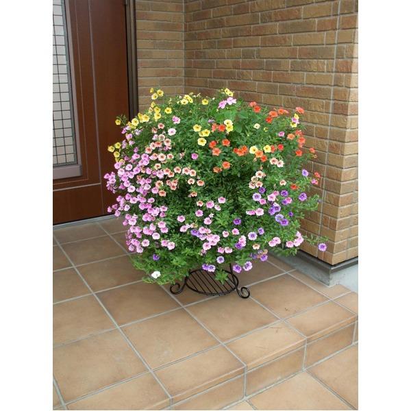 コンビネーションスタンド/花台 〔Mサイズ：外径37cm×高さ40cm〕 目皿付 スチールワイヤー製 日本製 〔園芸 ガーデニング用品〕 |  | 02