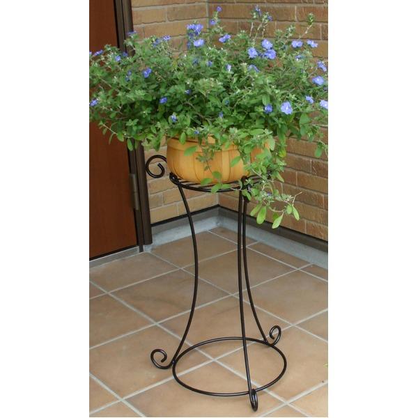 コンビネーションスタンド/花台 〔Lサイズ：外径37cm×高さ60cm〕 目皿付 スチールワイヤー製 日本製 〔園芸 ガーデニング用品〕 |  | 02