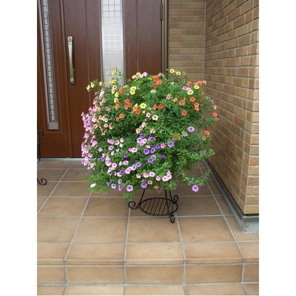 コンビネーションスタンド/花台 〔Lサイズ：外径37cm×高さ60cm〕 目皿付 スチールワイヤー製 日本製 〔園芸 ガーデニング用品〕 |  | 03
