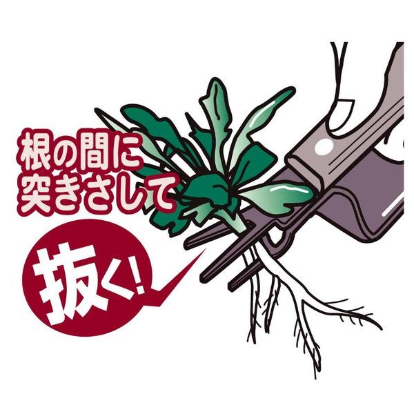 除草器具/草取り器具 〔大〕 本体：ステンレス 日本製 『草抜きくん』 〔園芸 ガーデニング用品〕 |  | 01
