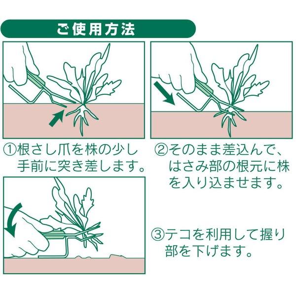 除草器具/草取り器具 〔大〕 本体：ステンレス 日本製 『草抜きくん』 〔園芸 ガーデニング用品〕 |  | 03