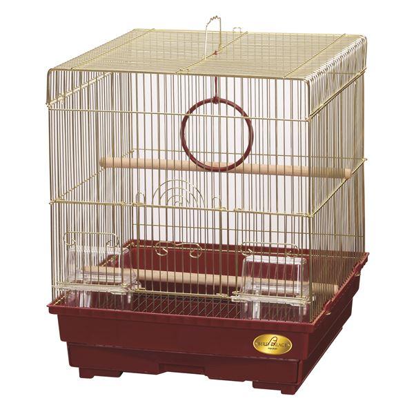 バードパレス クイーン〔ペット用品〕 |  | 01