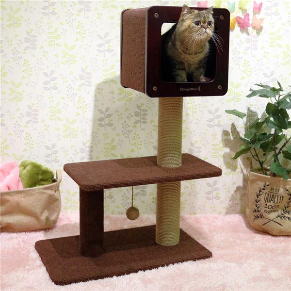 モダンルームスクラッチ ミディアムH90〔ペット用品・猫用〕 |  | 01