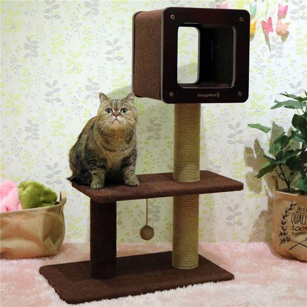 モダンルームスクラッチ ミディアムH90〔ペット用品・猫用〕 |  | 02
