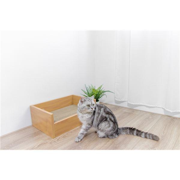 キャットベッド 本体 つめみがき付き |  | 03