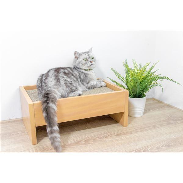 キャットベッド 本体 つめみがき付き |  | 04