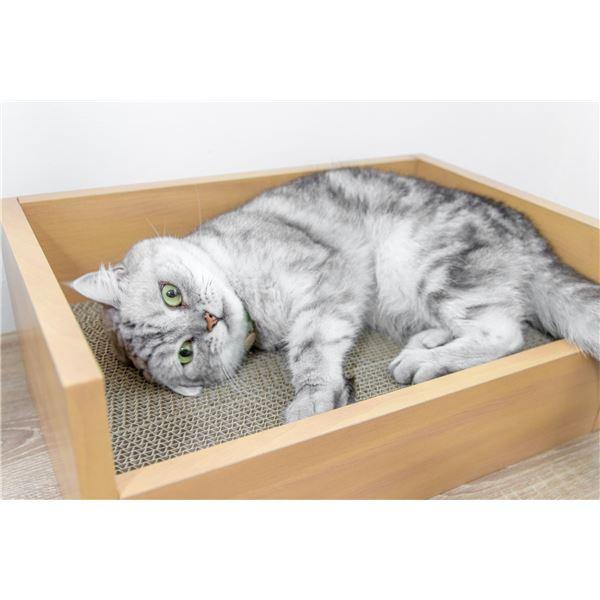 キャットベッド 本体 つめみがき付き |  | 05