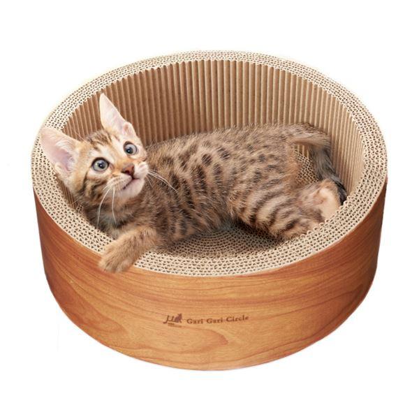 （まとめ）ガリガリサークル スクラッチャーインテリア ミニ(ペット用品)〔×2セット〕 |  | 01