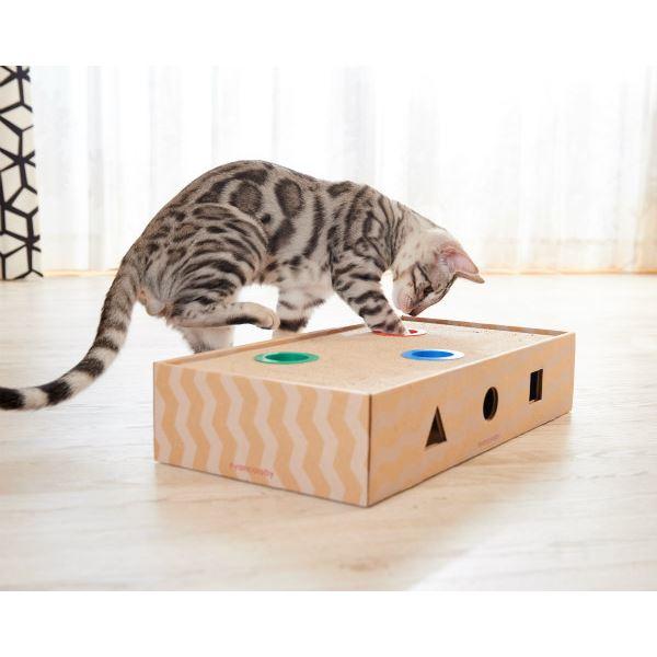 （まとめ）ニャンコロビー ボックスタイプ(ペット用品)〔×2セット〕 |  | 01