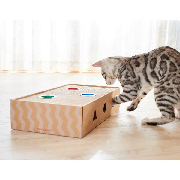 （まとめ）ニャンコロビー ボックスタイプ(ペット用品)〔×2セット〕 |  | 03