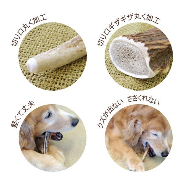 （まとめ）ベニソンアントラー M （ペット用品）〔×3セット〕 |  | 01