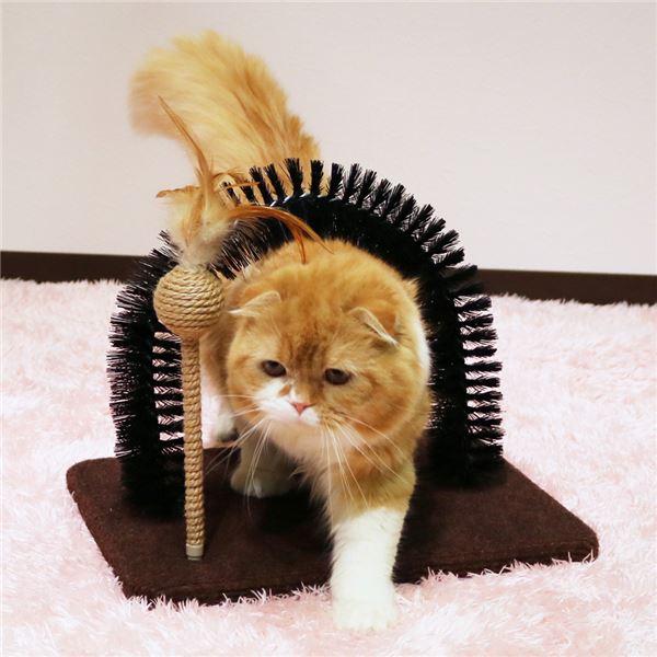 （まとめ）モダンルーム 毛づくろいブラシ （ペット用品）〔×6セット〕 |  | 03
