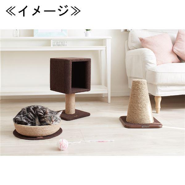 （まとめ）モダンルーム ナチュラルにゃベッド （ペット用品）〔×2セット〕 |  | 02